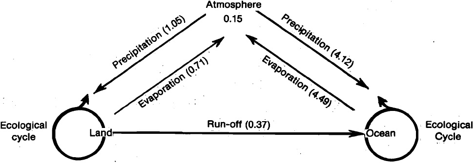 39_water cycle.jpg